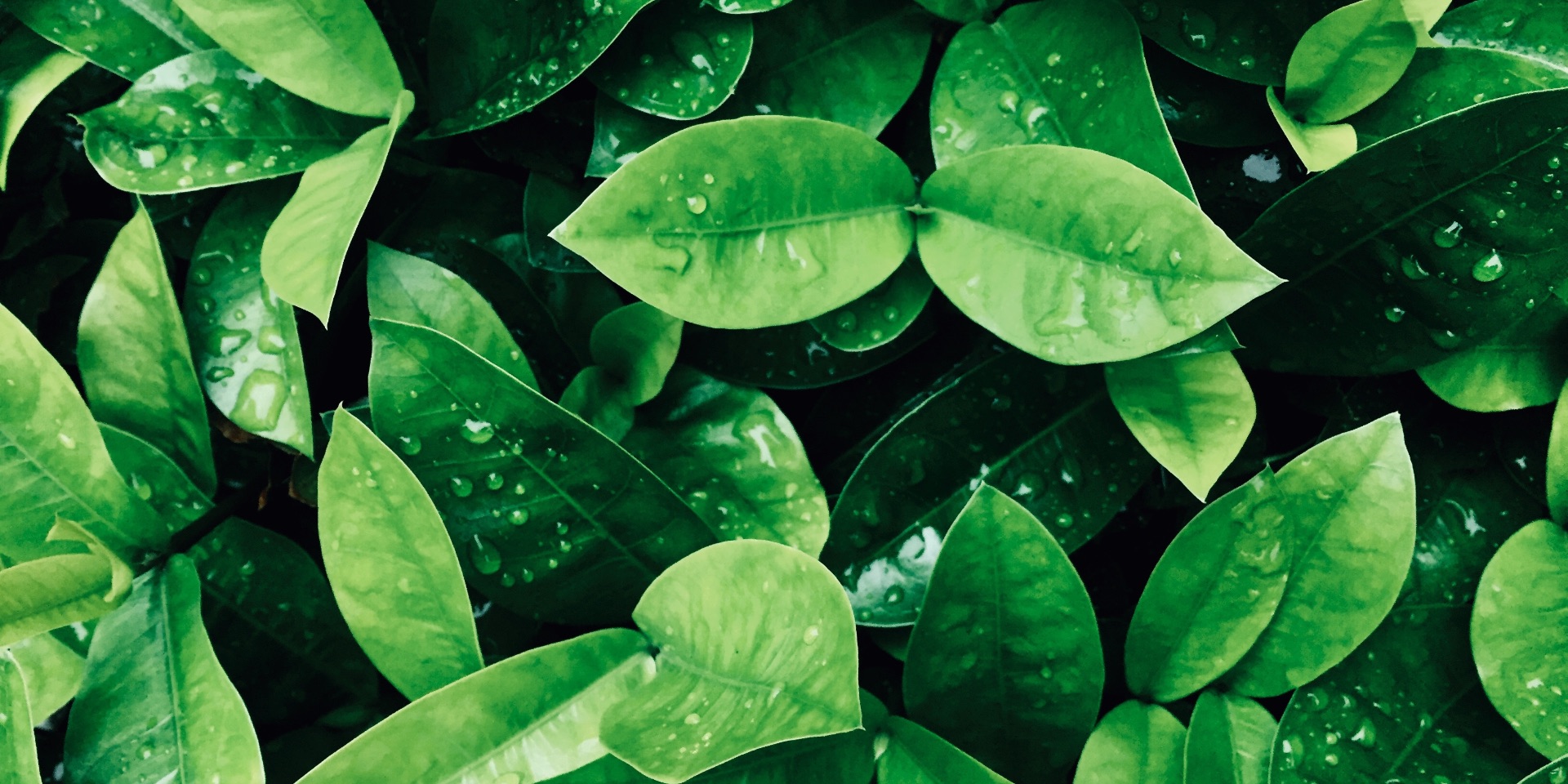 2013 – Photo.jpg (456 KB)