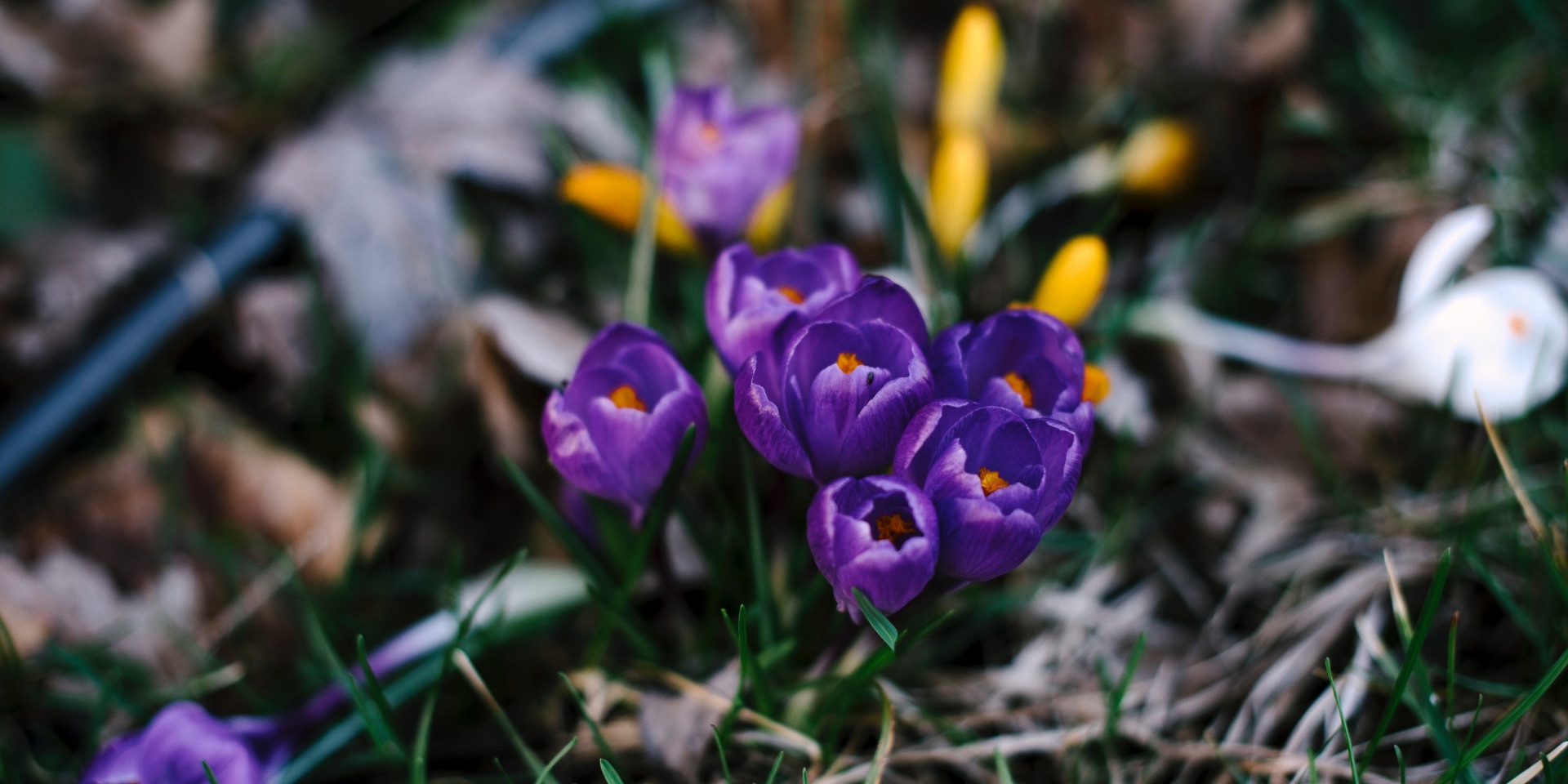 2018 – Photo.jpg (307 KB)